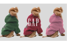 PETアイテム入荷！