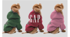 Gap／GapKids