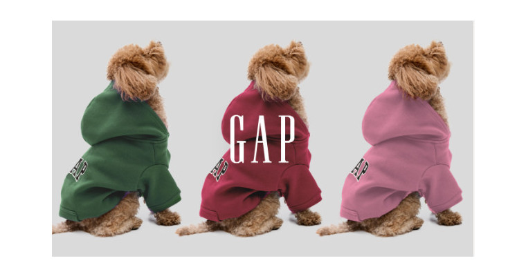 PETアイテム入荷！